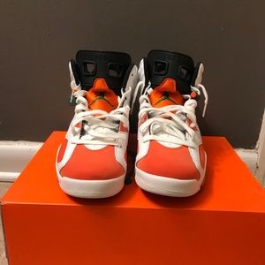 Retro Jordan Gatorade 6s 🔥
